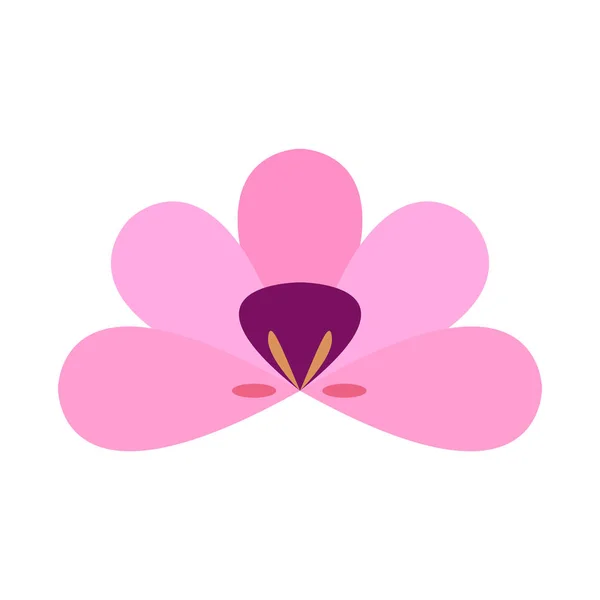 Fleur de couleur isolée — Image vectorielle