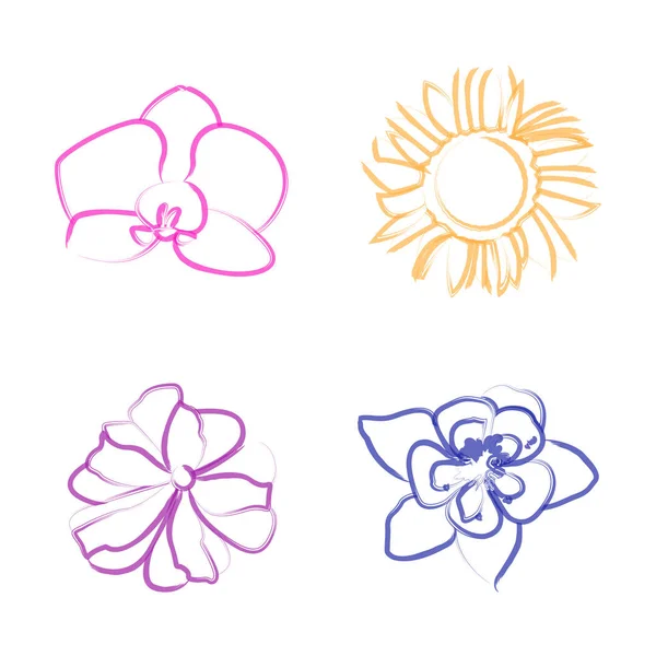 Set of flower outlines — Stock Vector