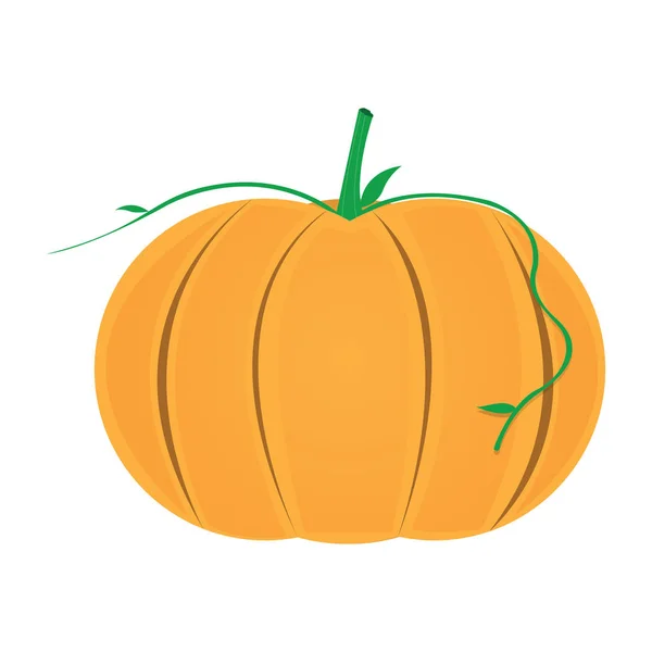 Icono de calabaza aislada — Archivo Imágenes Vectoriales