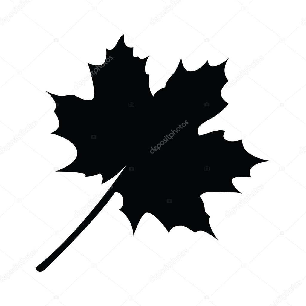 Isolated leaf silhouette