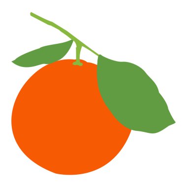 İzole edilmiş portakal meyvesi