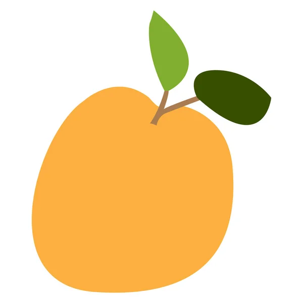 Frutta di arancia isolata — Vettoriale Stock