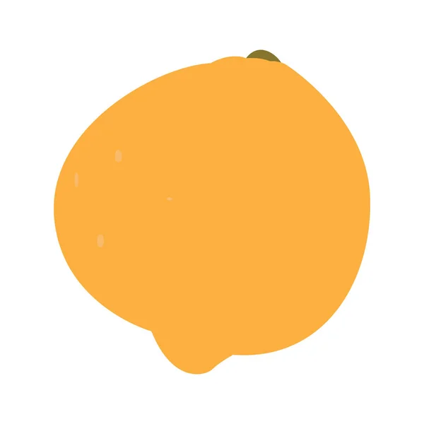 Isolated orange fruit — Stock Vector