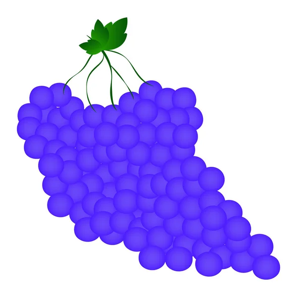 Ilustración de uvas aisladas — Vector de stock