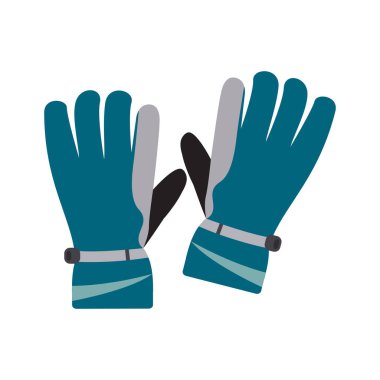 Kış eldiven çifti