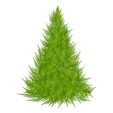 İzole edilmiş Noel ağacı