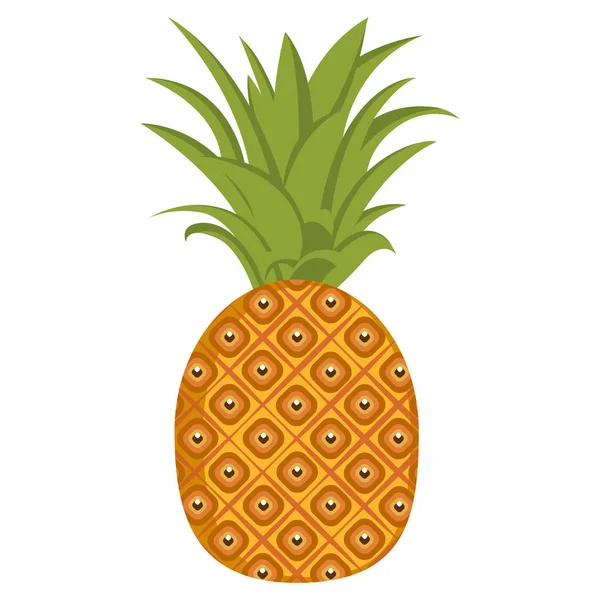 孤立菠萝插图 — 图库矢量图片