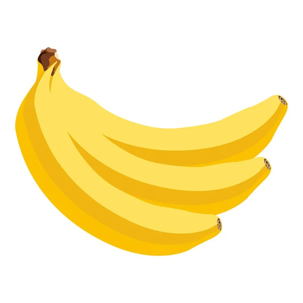 Ilustración de plátanos aislados — Vector de stock
