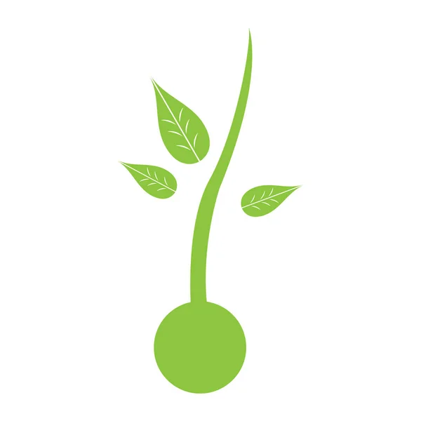 Geïsoleerde plant silhouet — Stockvector