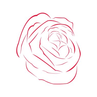 Gül anahat görüntü