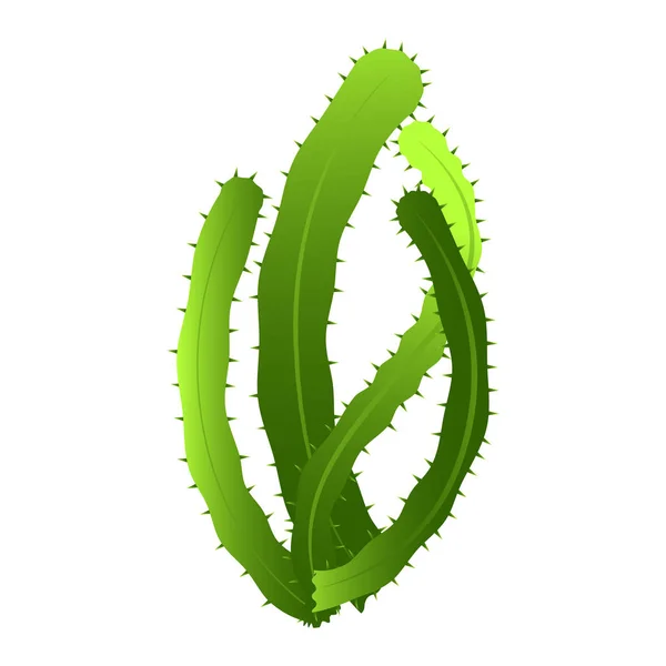 Izolat drăguț cactus — Vector de stoc