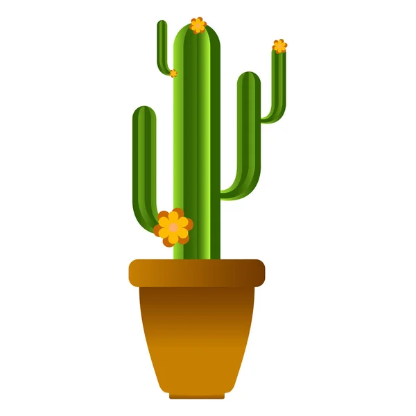 Izolované roztomilé kaktus — Stockový vektor