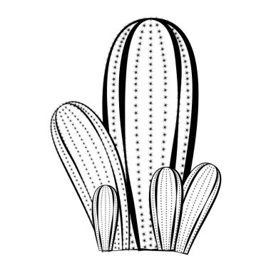 Kaktüs çizimi.