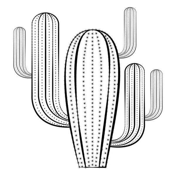 Schets van een cactus — Stockvector