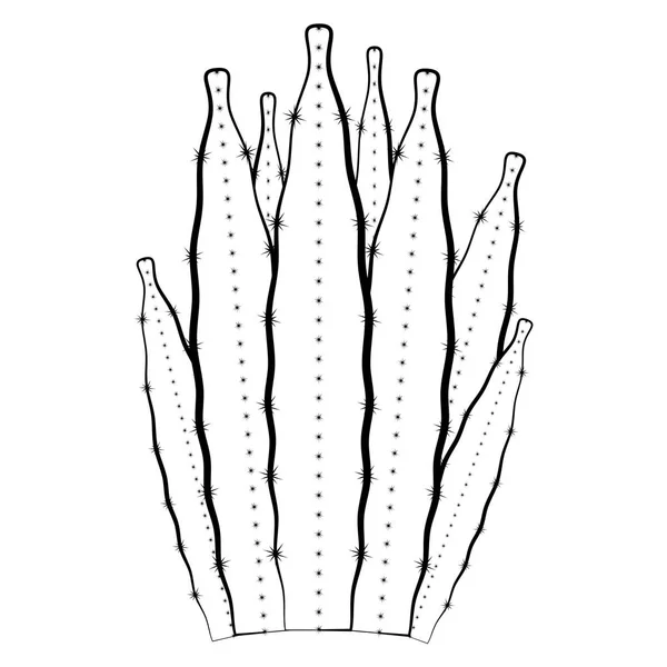 Esboço de um cacto — Vetor de Stock