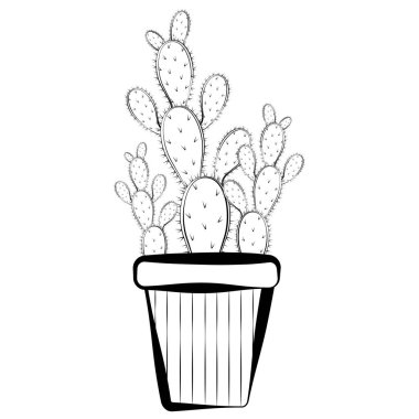 Kaktüs çizimi.