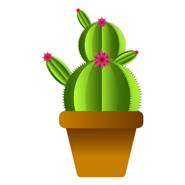 Cactus lindo aislado — Vector de stock