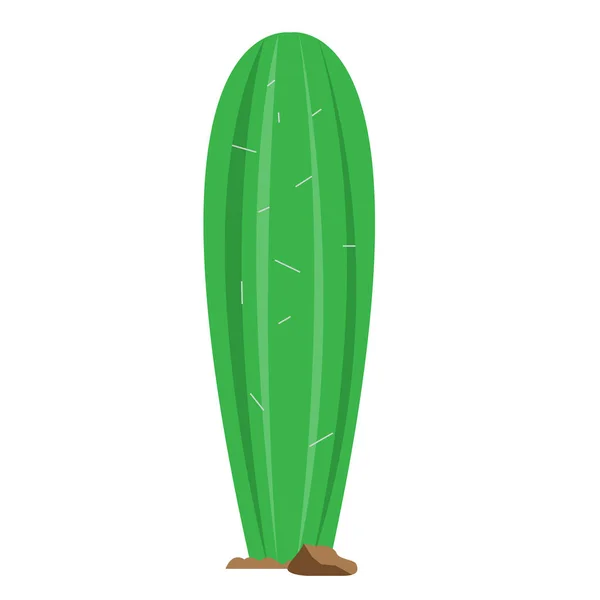 Icono de cactus de dibujos animados — Vector de stock