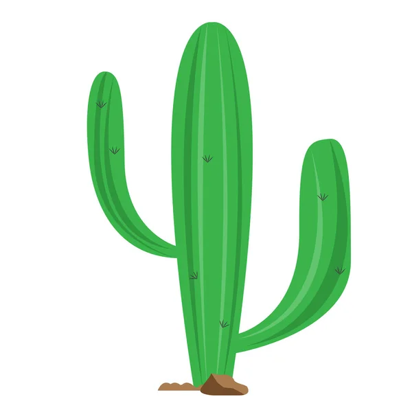 Icono de cactus de dibujos animados — Vector de stock