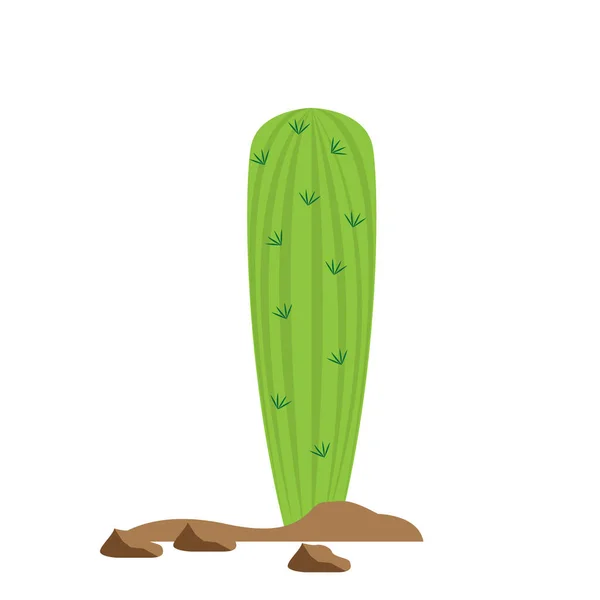 Icono de cactus de dibujos animados — Archivo Imágenes Vectoriales