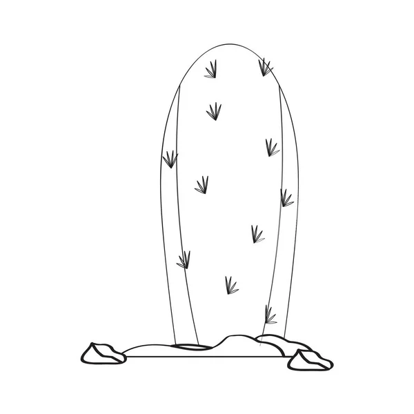 Cartoon cactus sketch — Stock Vector