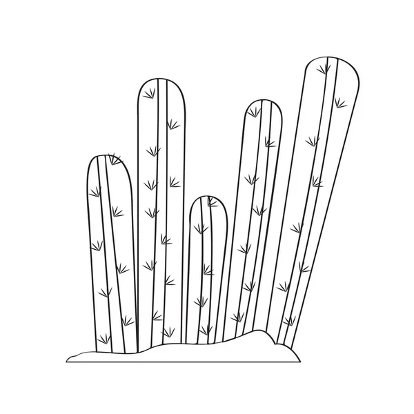Schizzo del cactus del fumetto — Vettoriale Stock