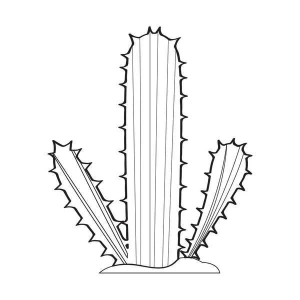 Kreslený kaktus skica — Stockový vektor