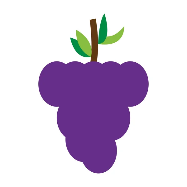 Icono de uvas aisladas — Vector de stock