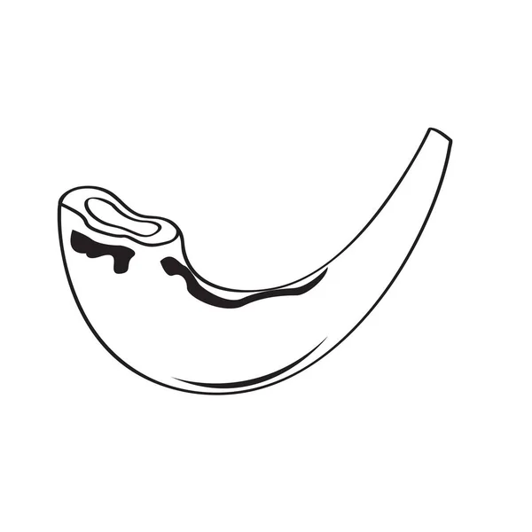 Schéma shofar juif — Image vectorielle