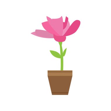 Bir pot sevimli çiçek