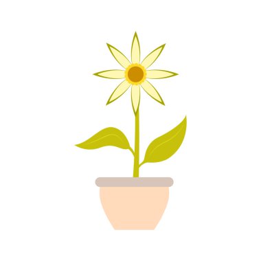 Bir pot sevimli çiçek