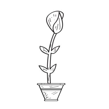 Çizim bir gül. Retro tarzı