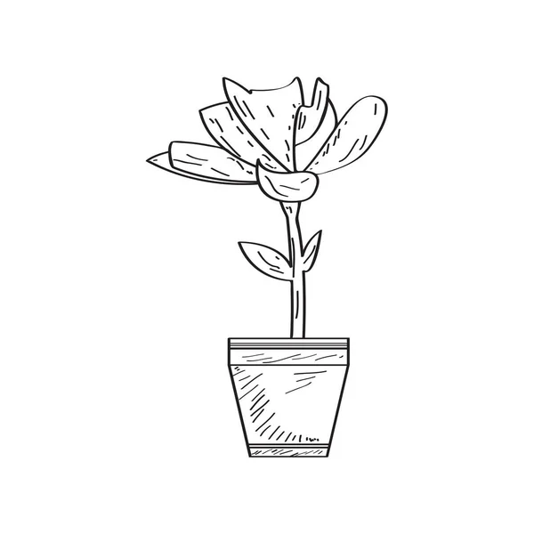 Tekening van een bloem. Retro stijl — Stockvector