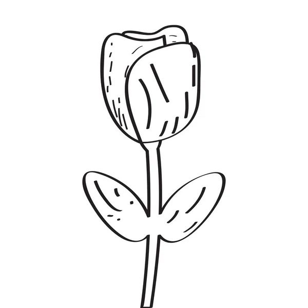 Dessin d'une rose — Image vectorielle