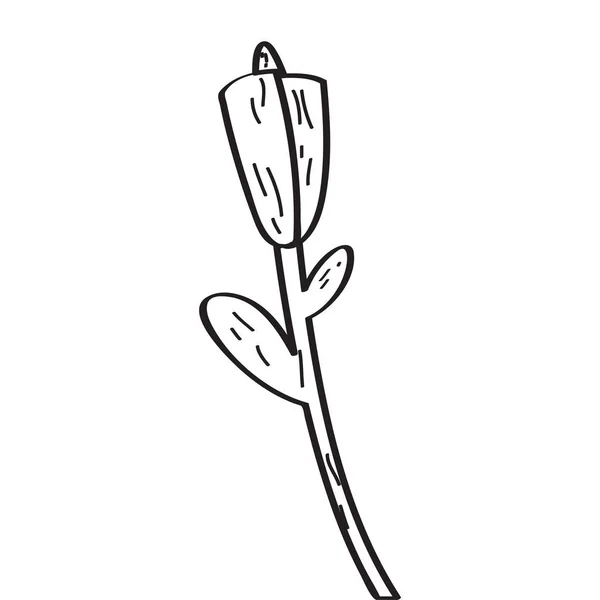 Dibujo de una rosa — Vector de stock