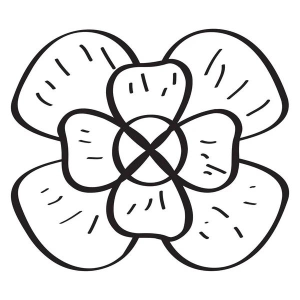 Dessin d'une fleur — Image vectorielle