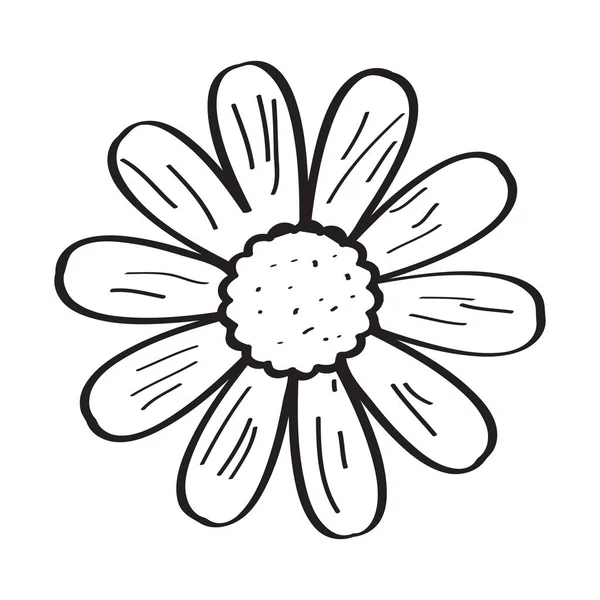 Dessin d'une fleur — Image vectorielle