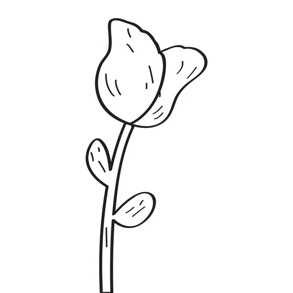 Kresba z růže — Stockový vektor