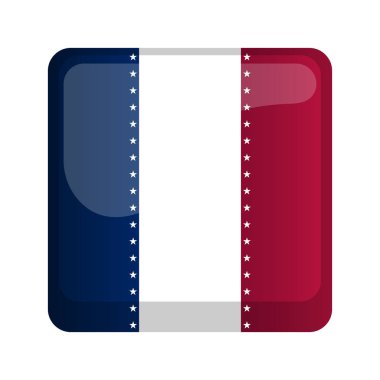 Amerika Birleşik Devletleri kampanya düğme