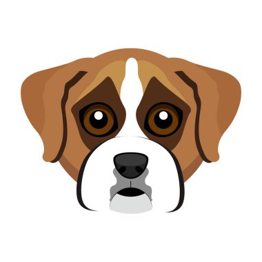 Şirin boxer köpek avatar