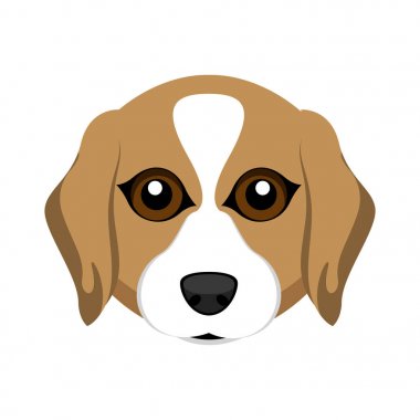 Şirin beagle köpek avatar