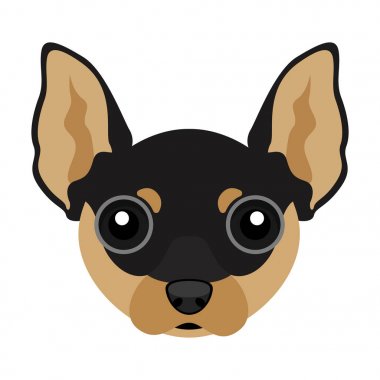 Şirin chihuahua köpek avatar