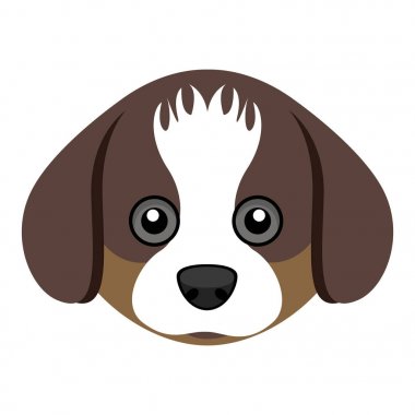 Şirin shih tzu köpek avatar