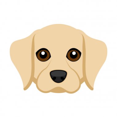 Şirin labrador retriever köpek avatar