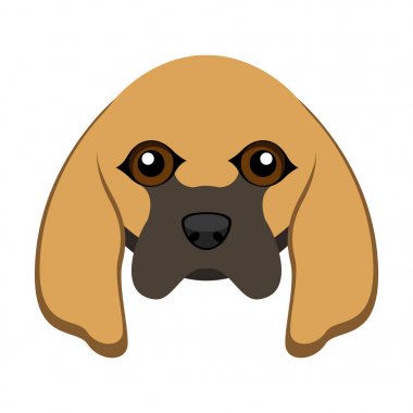 Şirin bloodhound köpek avatar