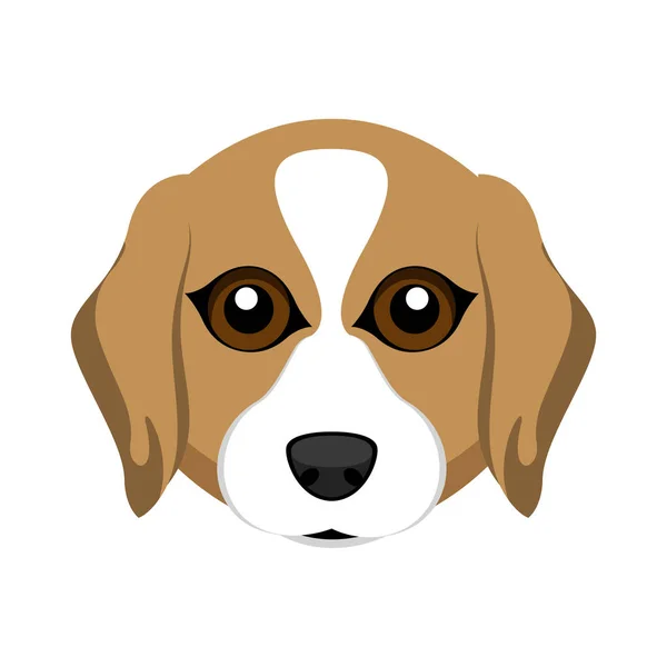 Carino beagle cane avatar — Vettoriale Stock