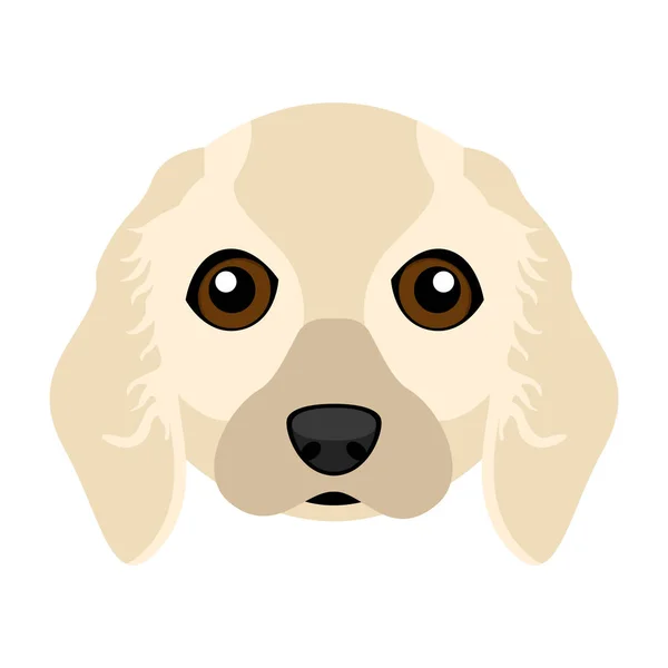 Bonito Cocker Spaniel cão avatar — Vetor de Stock