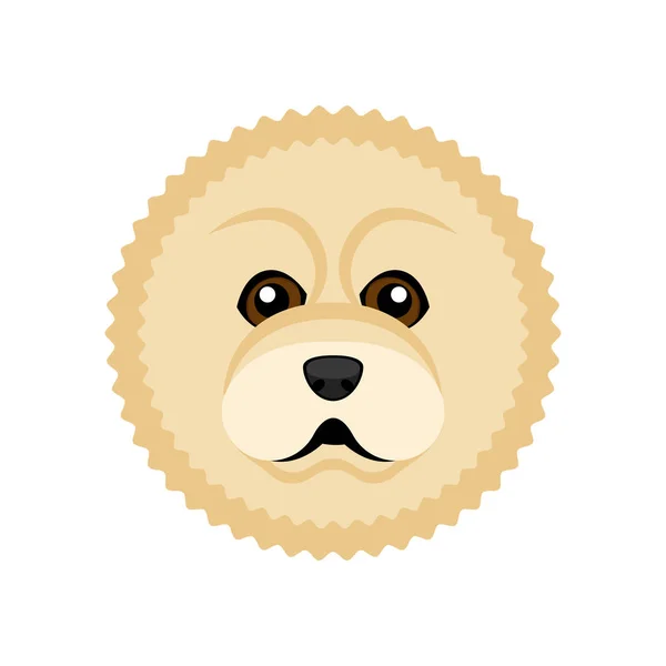 Cute chow chow dog avatar — Stock Vector