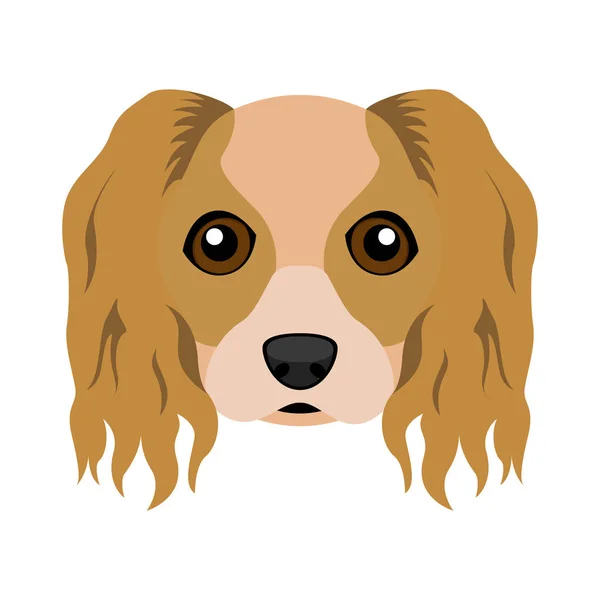 Lindo caballero rey charles spaniel perro avatar — Vector de stock