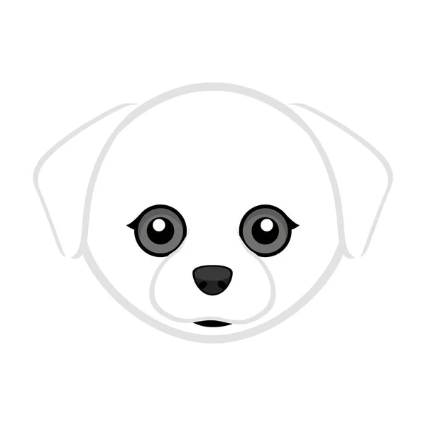 Mignon avatar maltais pour chien — Image vectorielle